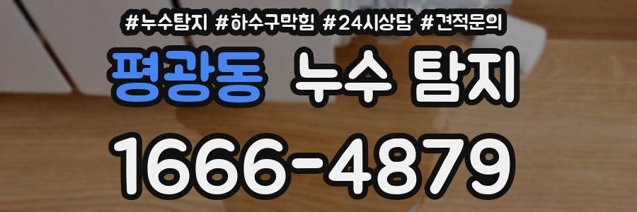 평광동 누수 탐지