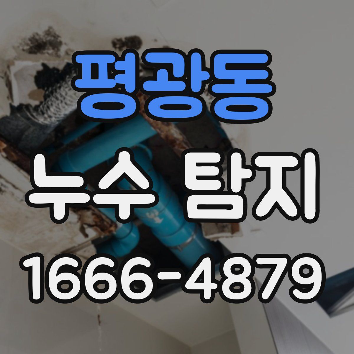 평광동 누수 탐지