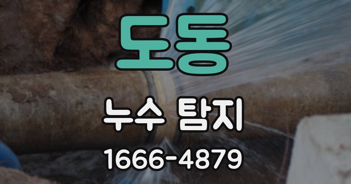 도동 누수 탐지
