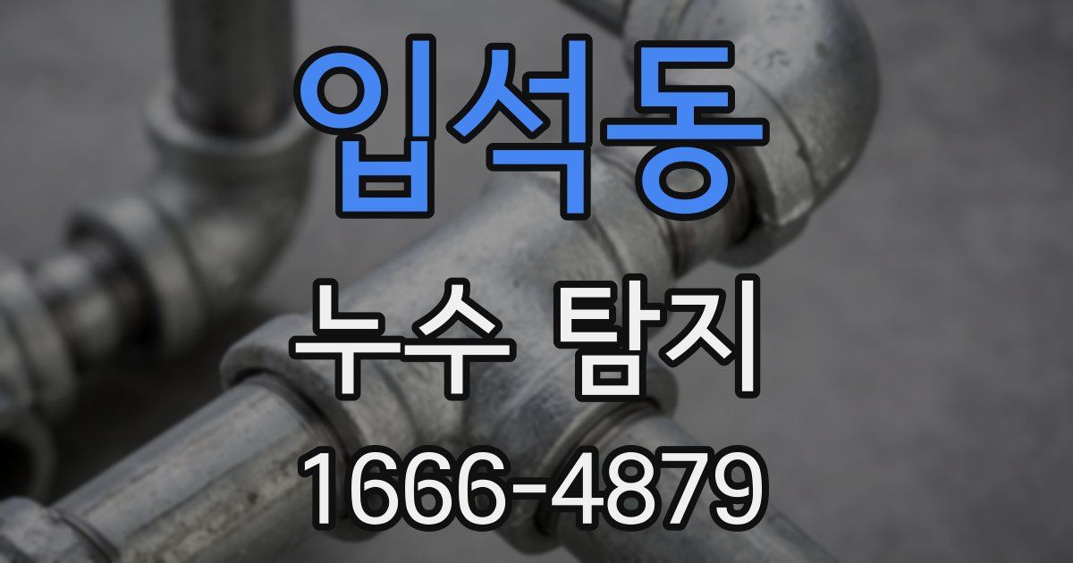 입석동 누수 탐지