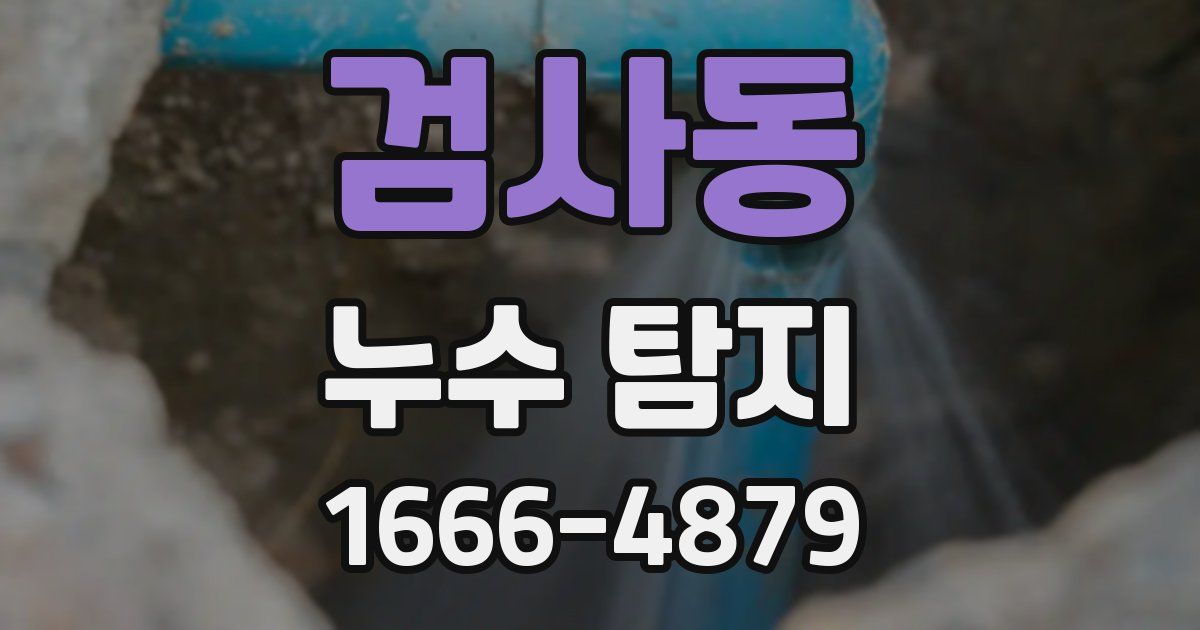 검사동 누수 탐지