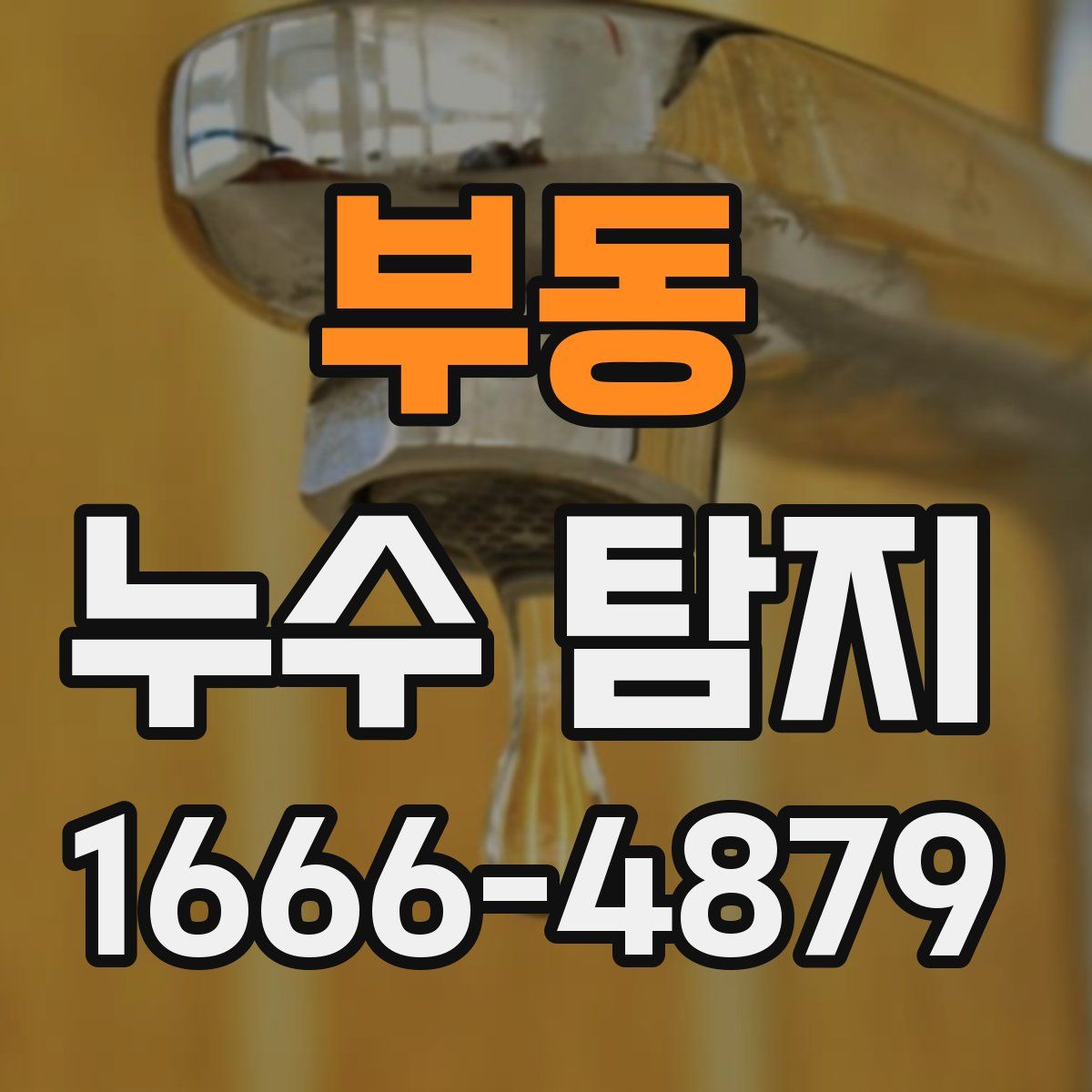 부동 누수 탐지