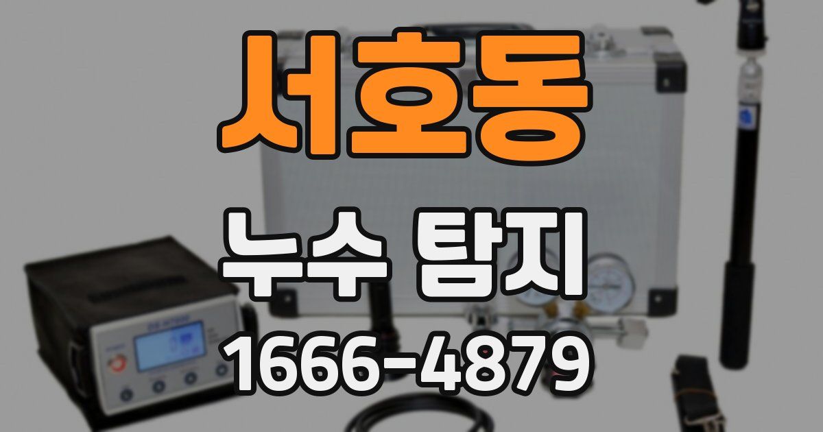 서호동 누수 탐지
