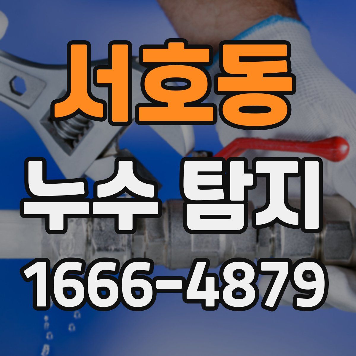 서호동 누수 탐지