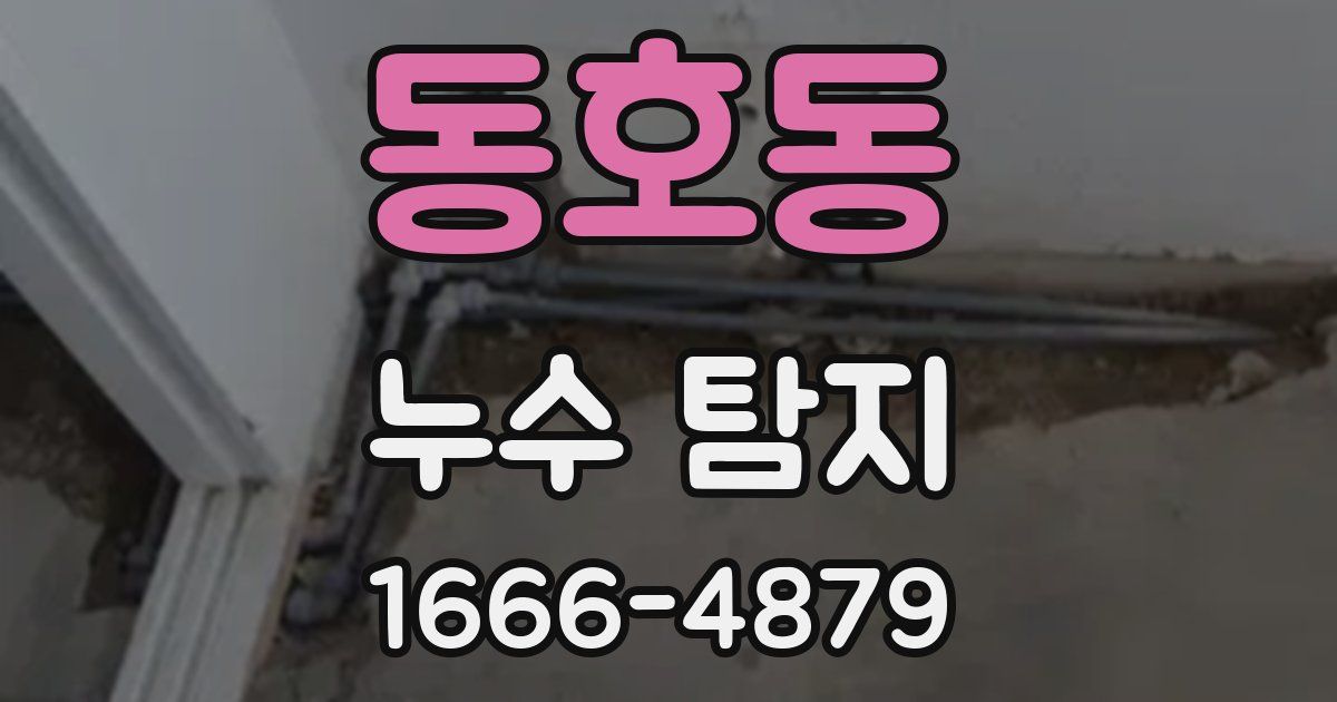 동호동 누수 탐지