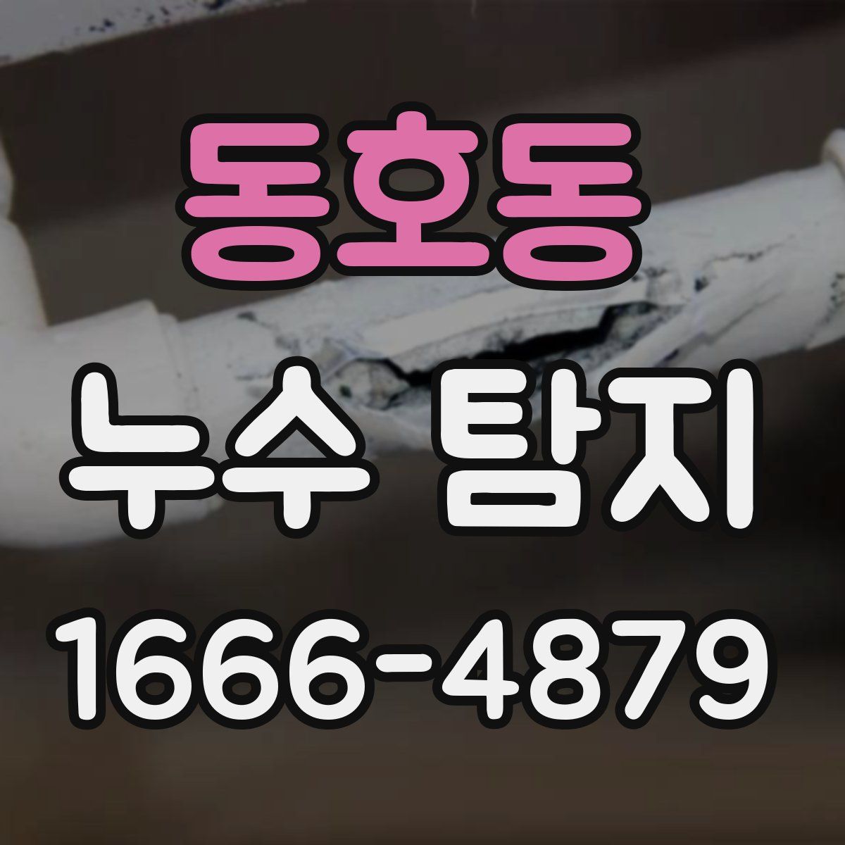 동호동 누수 탐지