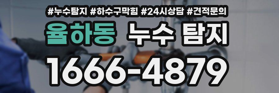 율하동 누수 탐지