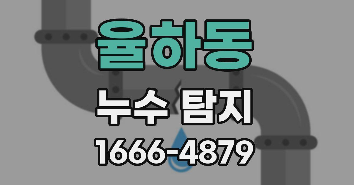 율하동 누수 탐지