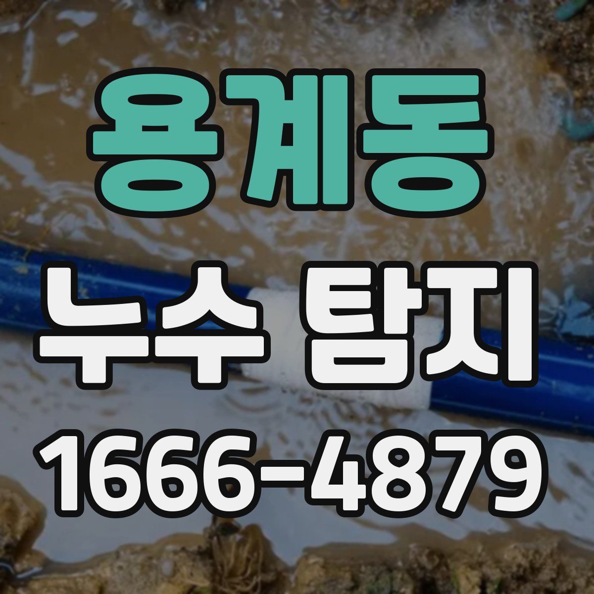 용계동 누수 탐지