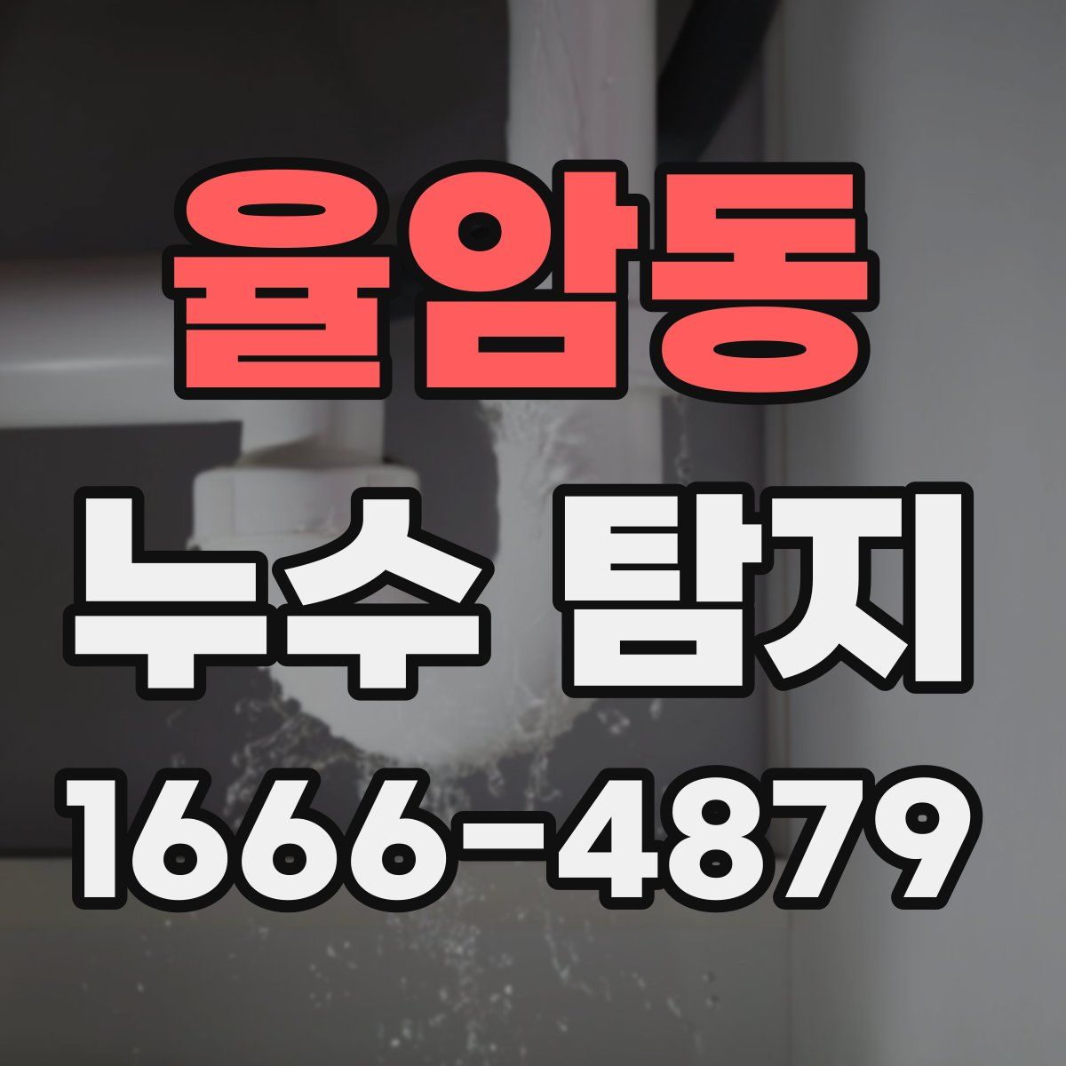 율암동 누수 탐지