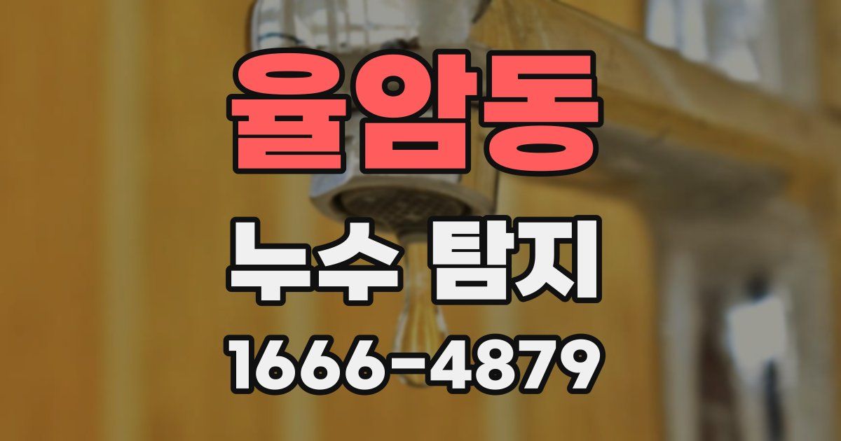 율암동 누수 탐지