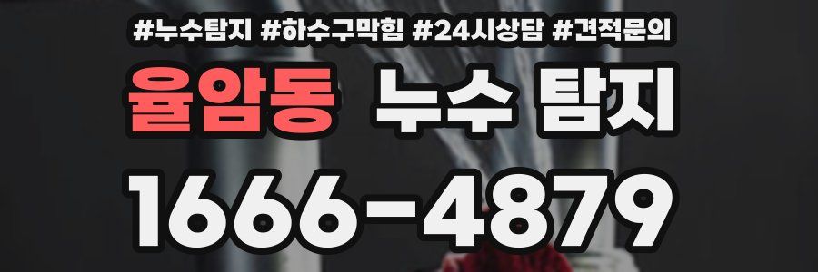 율암동 누수 탐지