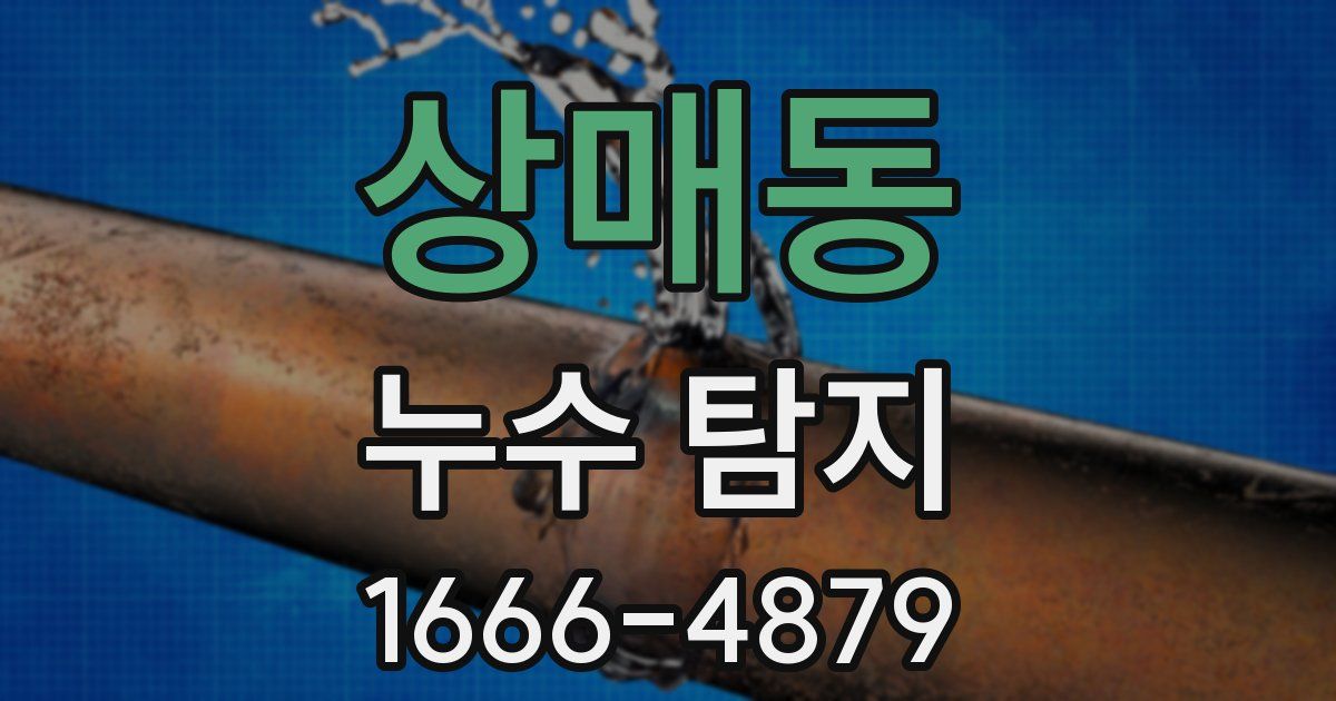 상매동 누수 탐지