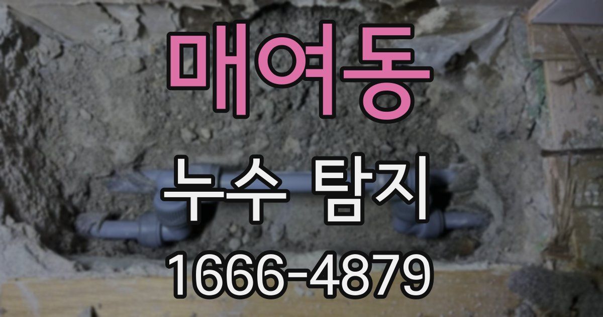 매여동 누수 탐지