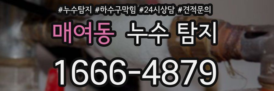 매여동 누수 탐지