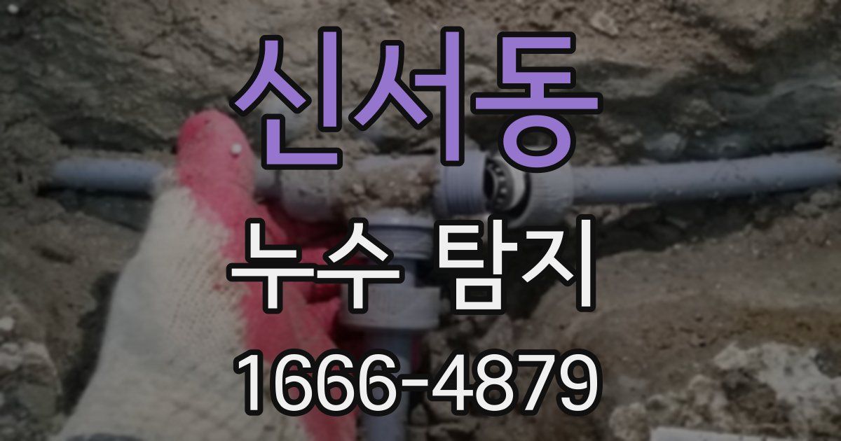 신서동 누수 탐지