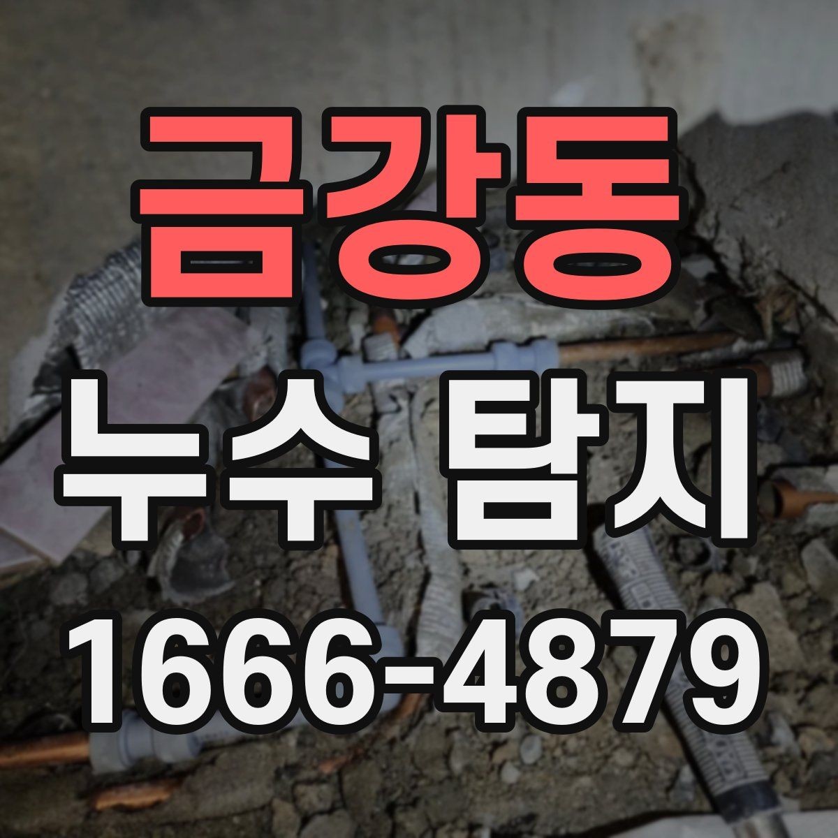 금강동 누수 탐지 후 보험 처리 전 확인할 점