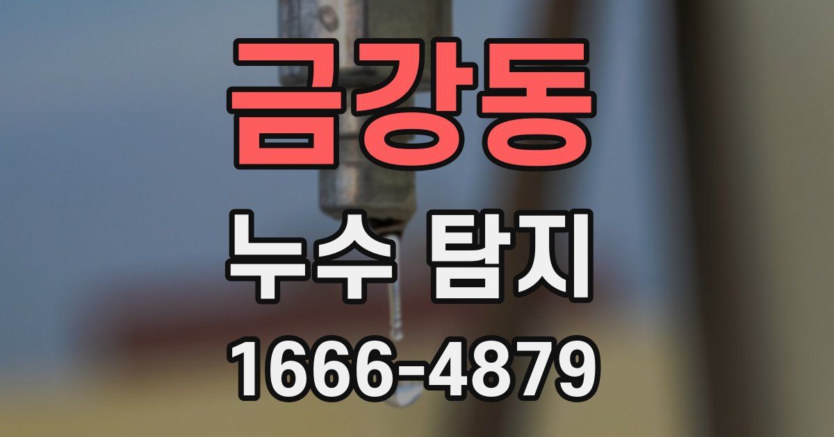 금강동 누수 탐지
