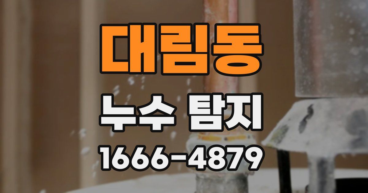 대림동 누수 탐지