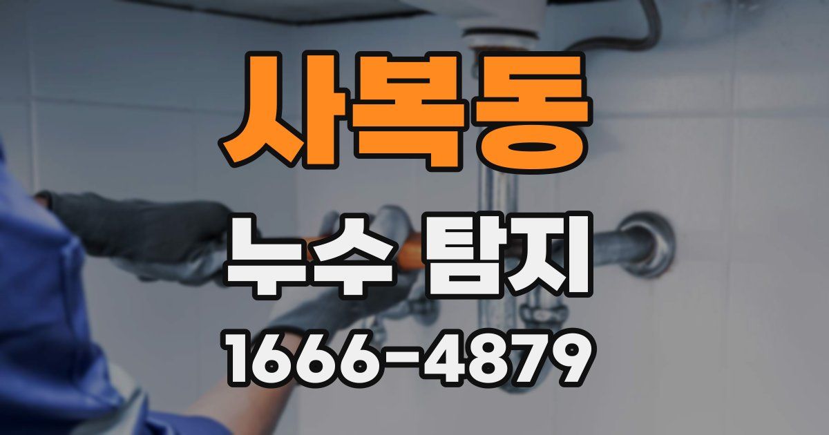사복동 누수 탐지