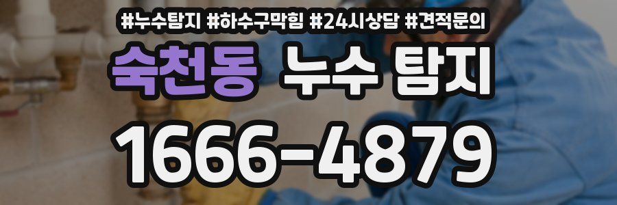 숙천동 누수 탐지