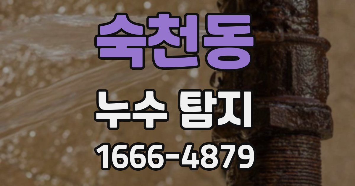 숙천동 누수 탐지