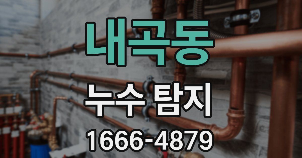 내곡동 누수 탐지