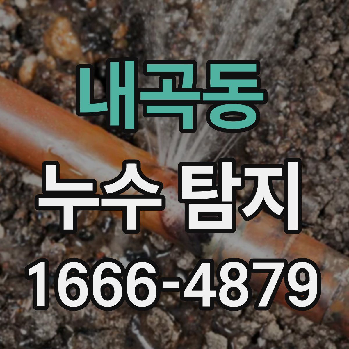 내곡동 누수 탐지
