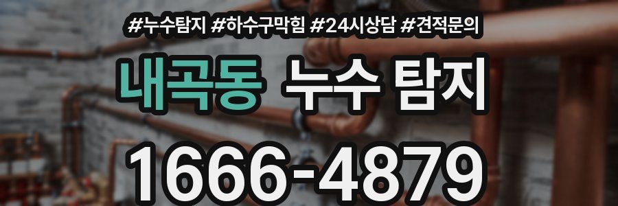 내곡동 누수 탐지