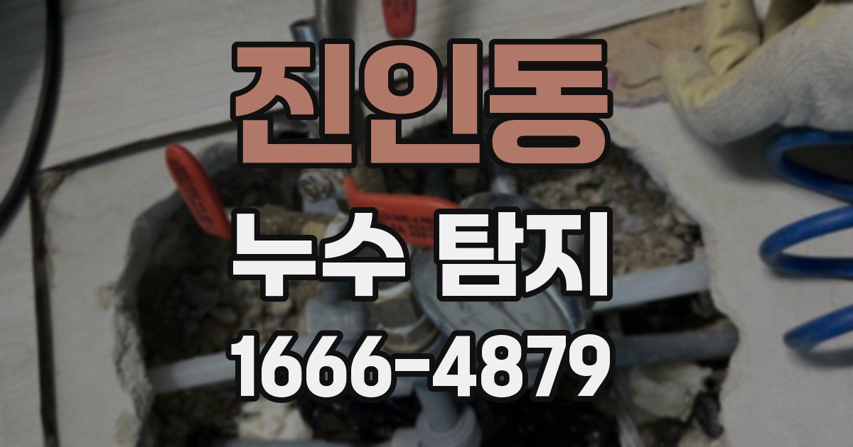 진인동 누수 탐지