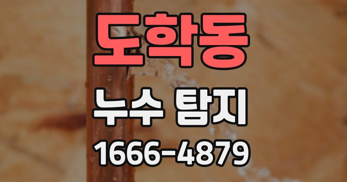 도학동 누수 탐지