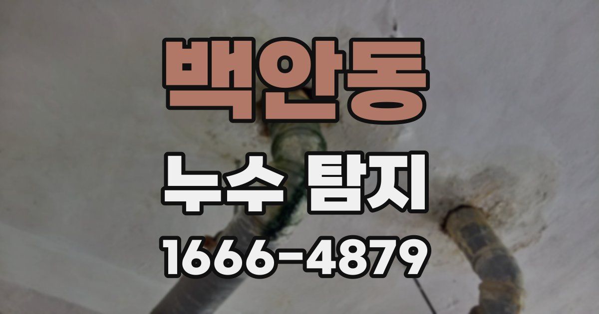 백안동 누수 탐지