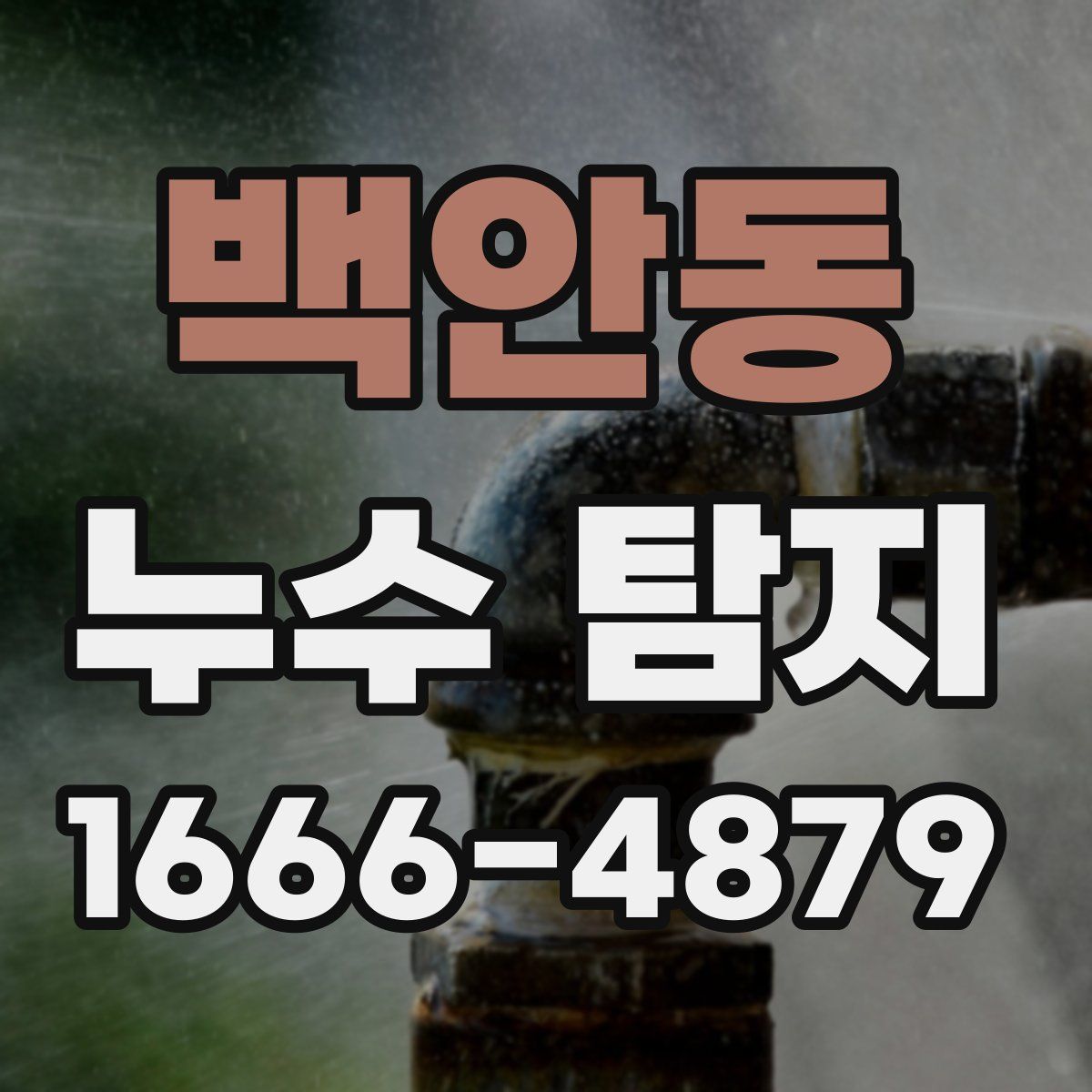 백안동 누수 탐지