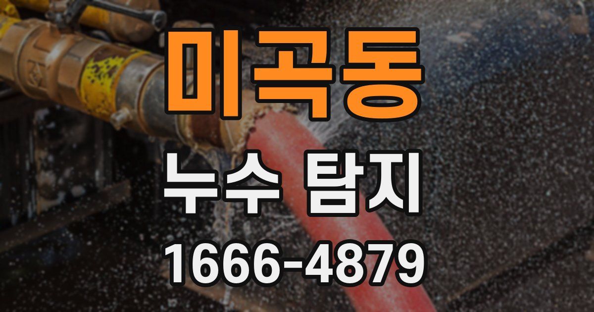 미곡동 누수 탐지