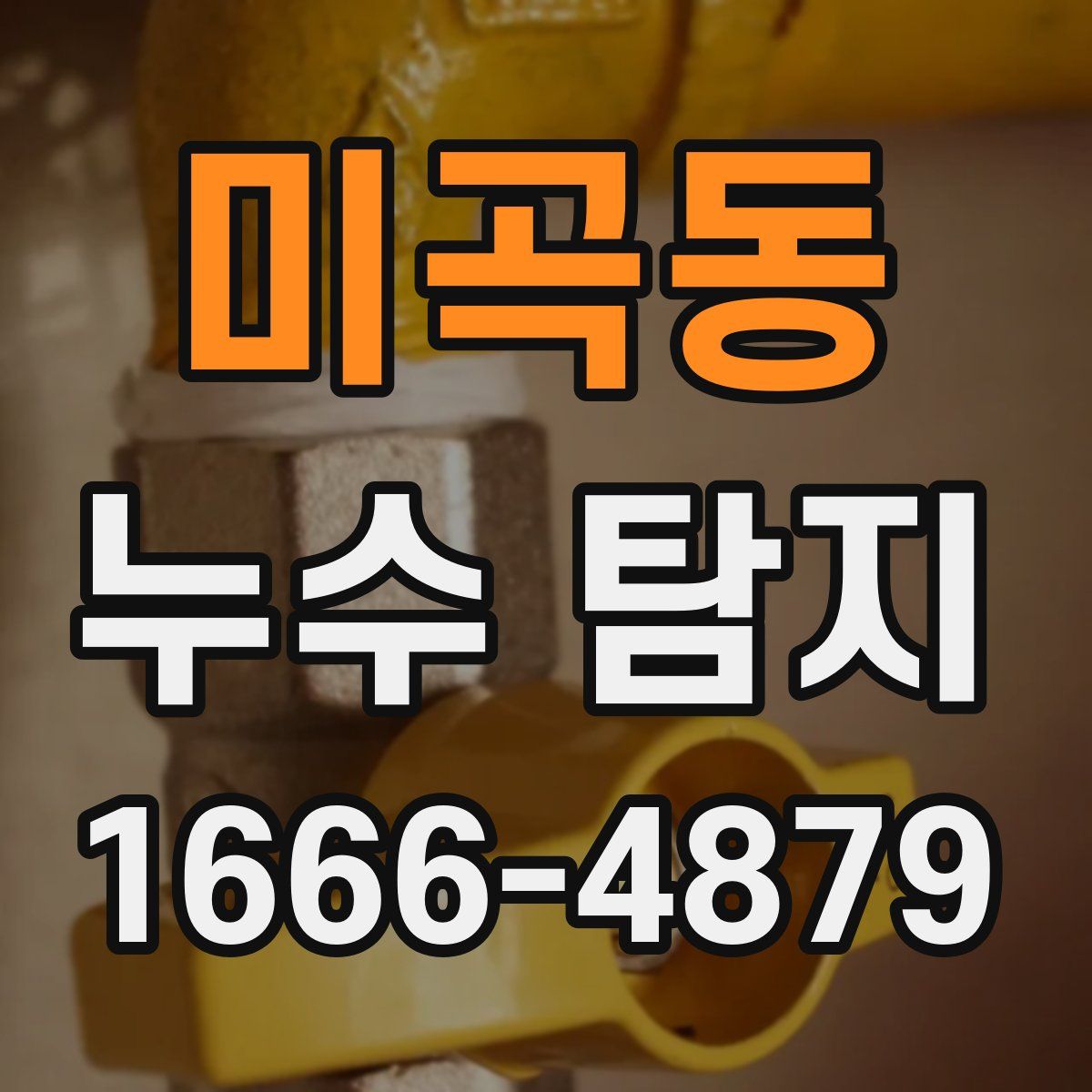 미곡동 누수 탐지