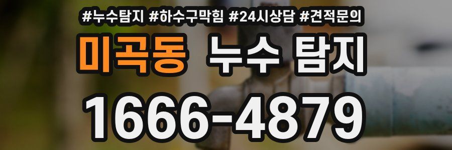 미곡동 누수 탐지