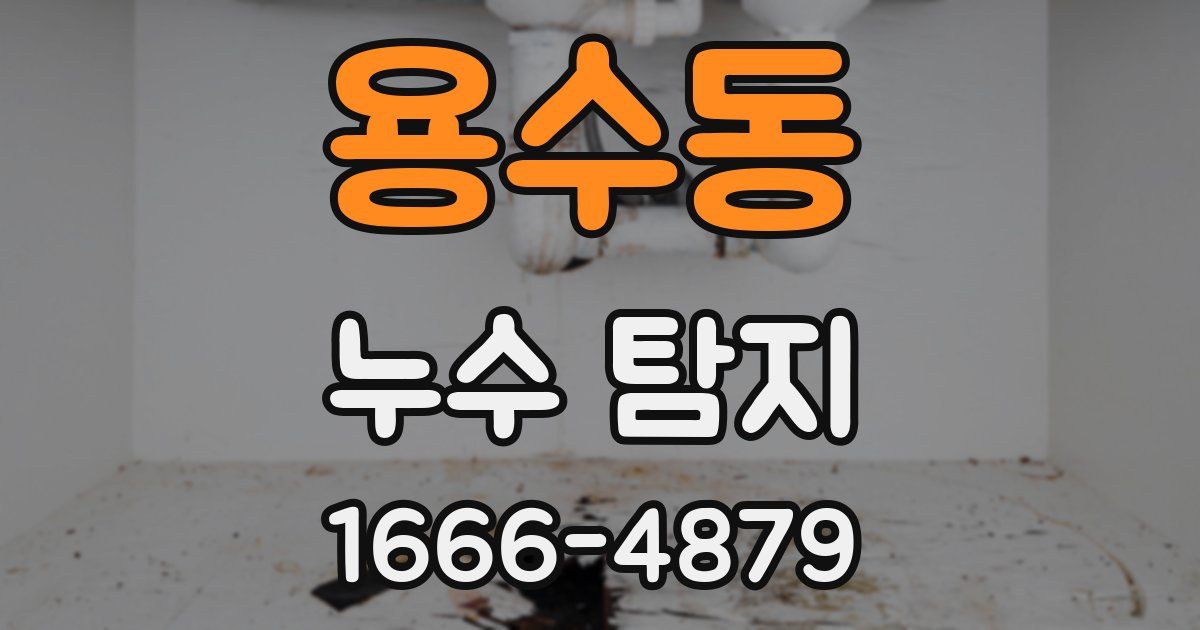 용수동 누수 탐지