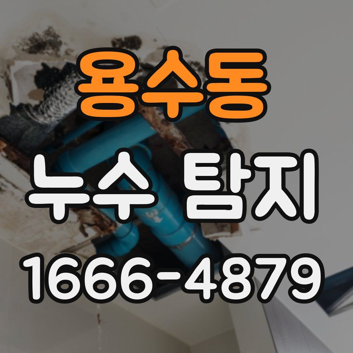 용수동 누수 탐지