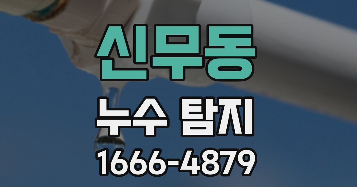 신무동 누수 탐지