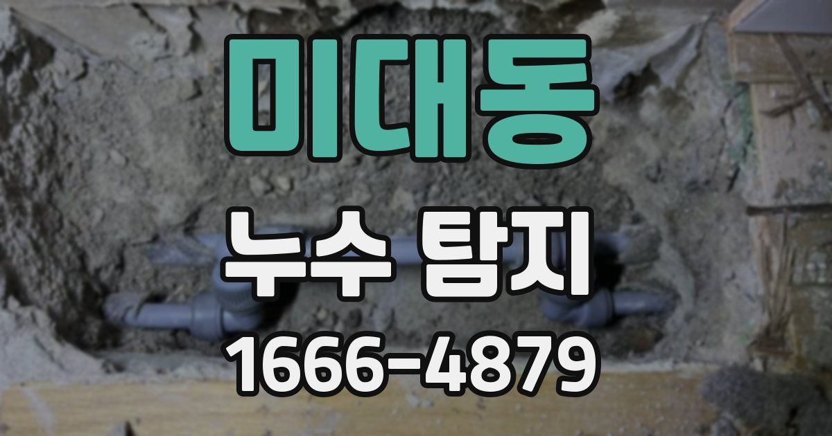 미대동 누수 탐지