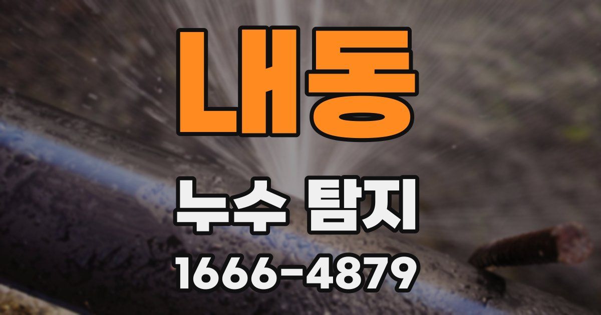 내동 누수 탐지