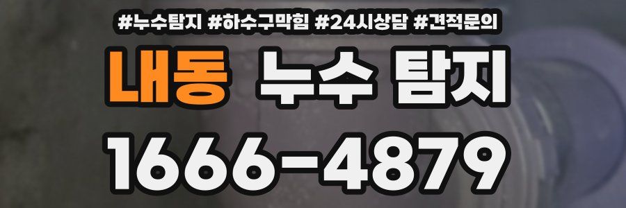 내동 누수 탐지
