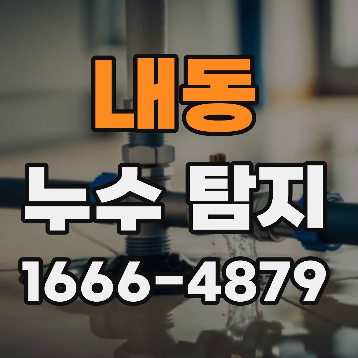 내동 누수 탐지