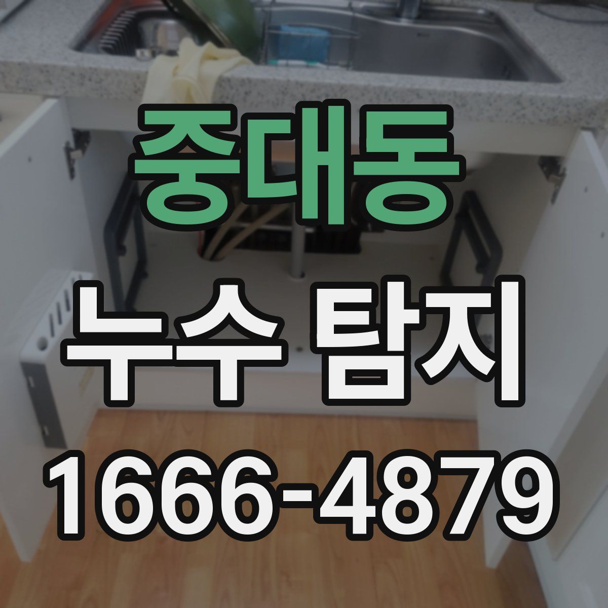 중대동 누수 탐지