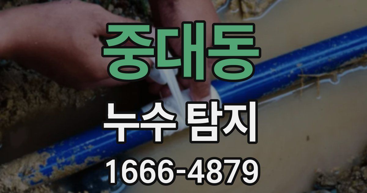 중대동 누수 탐지