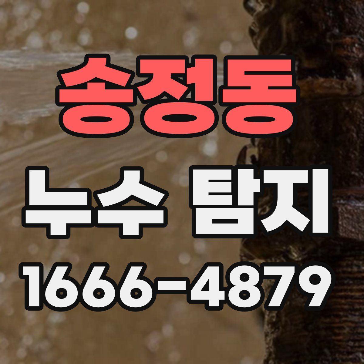 송정동 누수 탐지