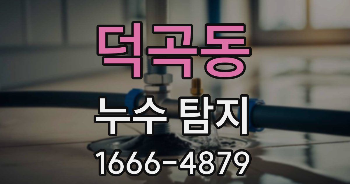덕곡동 누수 탐지