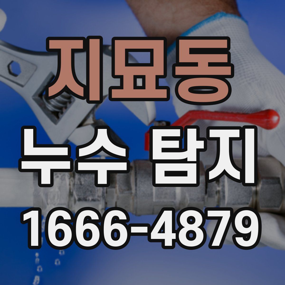 지묘동 누수 탐지