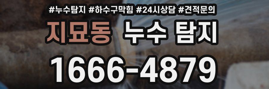 지묘동 누수 탐지