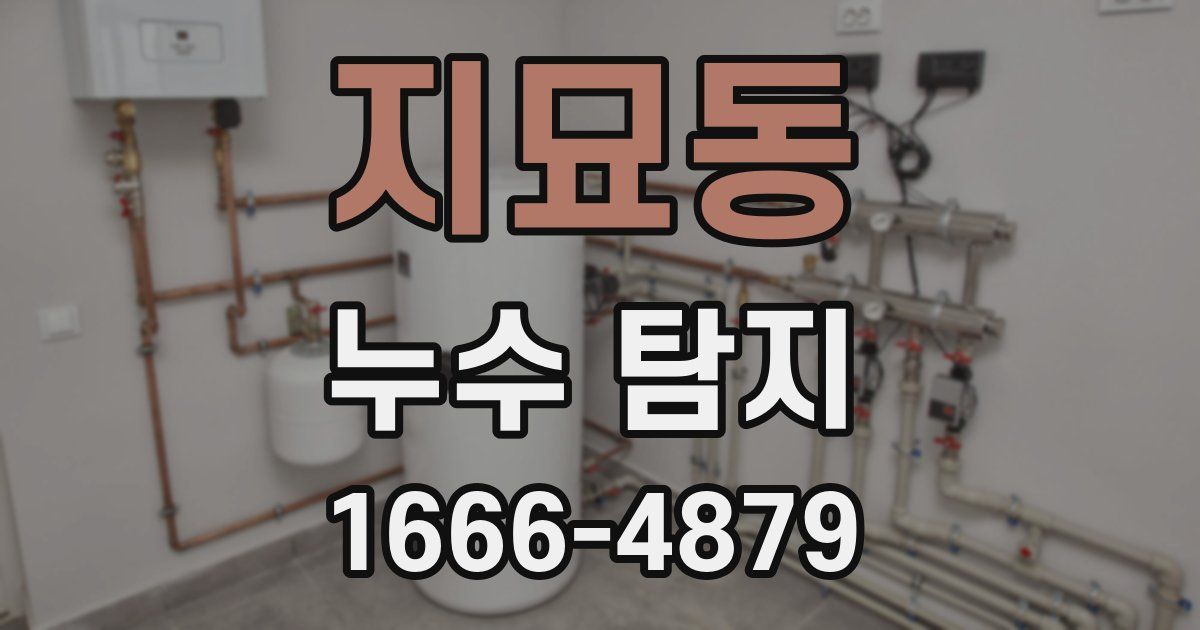 지묘동 누수 탐지